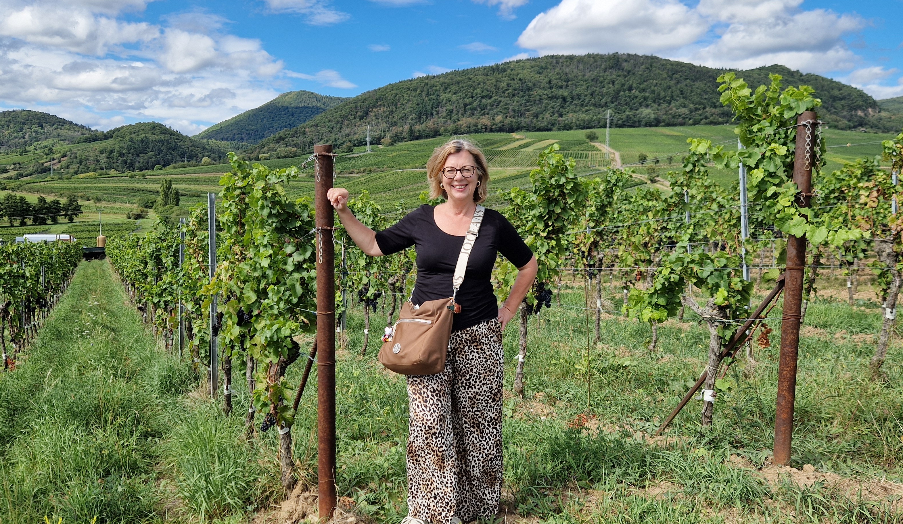 Wein